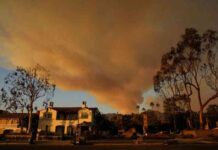 rebuilding-lives-families-return-to-search-for-memories-in-los-angeles-area-fire-aftermath