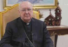 cardinal-farrell-poised-for-crucial-role-in-popes-health-crisis