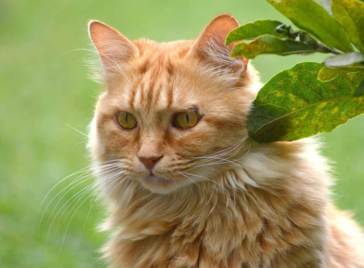 How to Report Concerns or Suspicious Activity