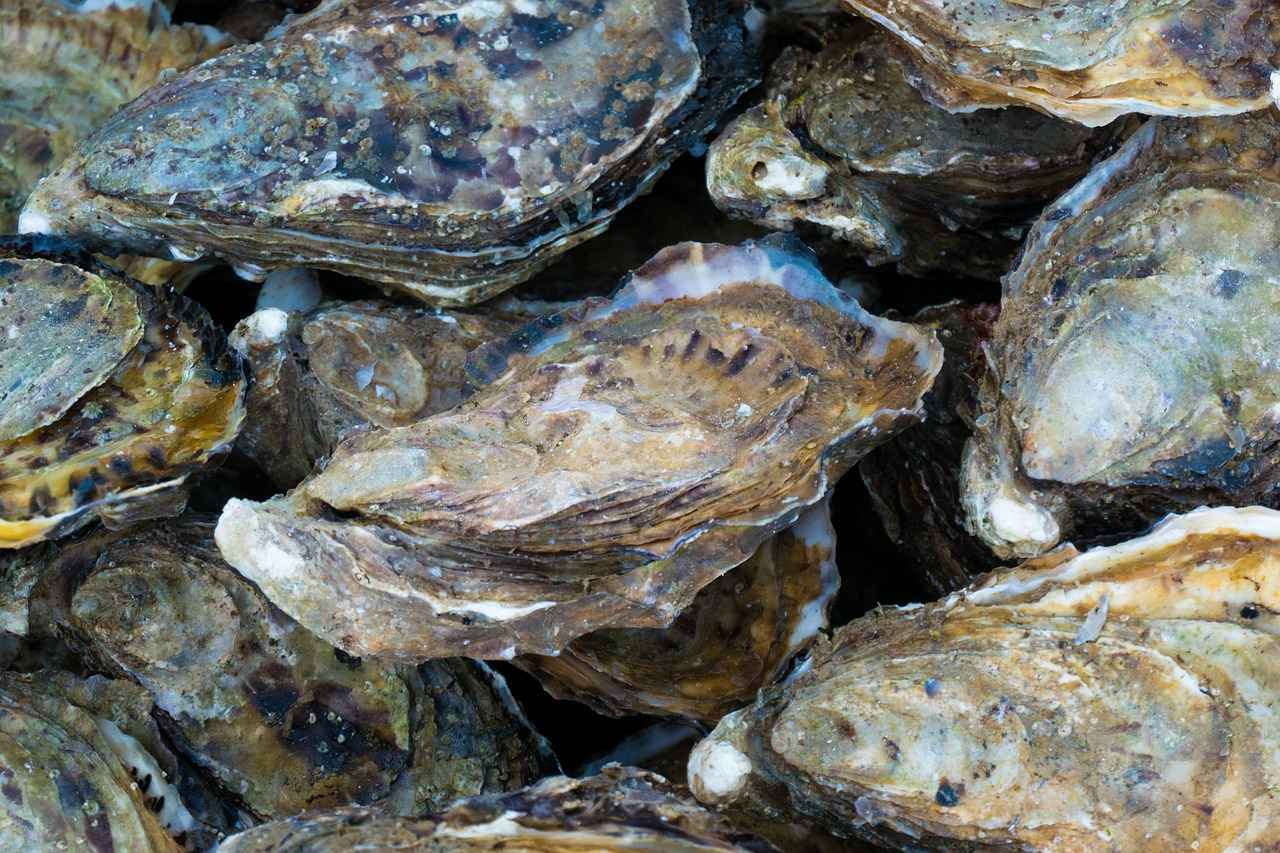 Health Benefits of Eating Oysters