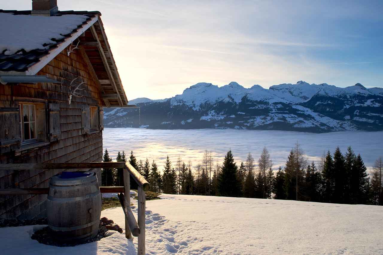 How to Store and Maintain Stables Tape