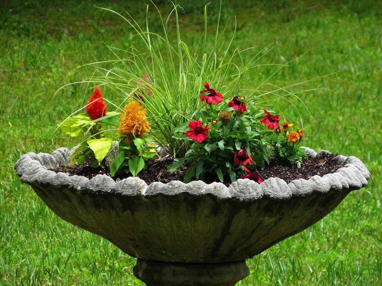 Usage in Literature and Arts