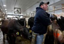 challenges-mpacting-organic-farming-decline-in-farmland-conversion