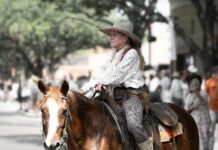 pexels photo 12578666