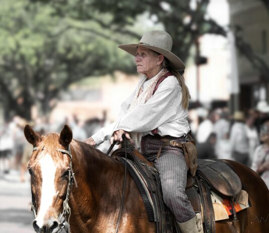 pexels photo 12578666