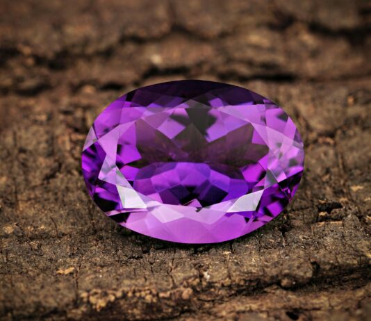 pexels photo 13300173