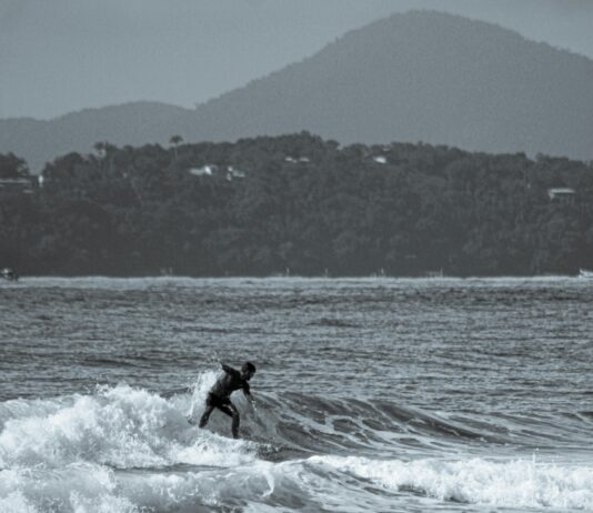 pexels photo 15391690