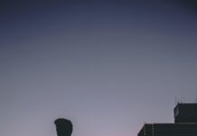 pexels photo 1549004