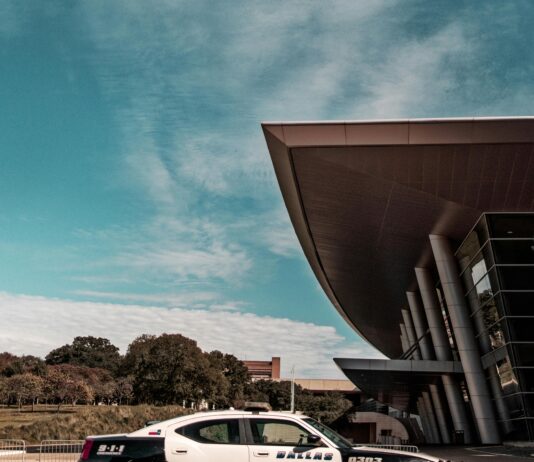 pexels photo 1682385