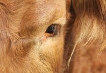 West Texas Eye Associates: Discover Expert Eye Care Solutions Today pexels photo 28744686