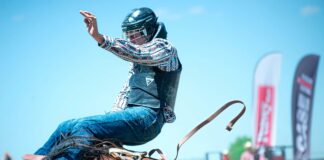 pexels photo 29656782