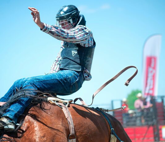 pexels photo 29656782