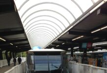 pexels photo 32639082