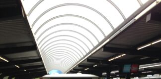 pexels photo 32639082