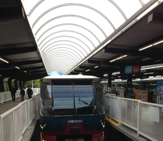 pexels photo 32639082