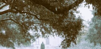 pexels photo 6959735