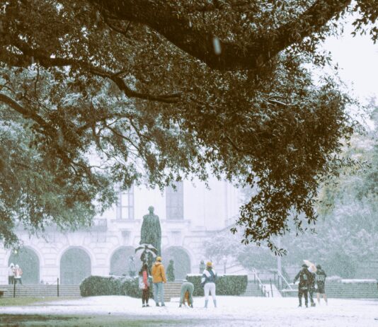 pexels photo 6959735