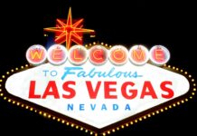 pexels photo 8295800