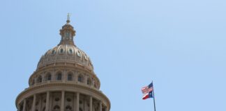 pexels photo 9102582