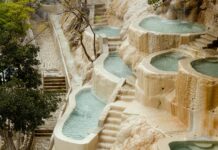 pexels photo 13245235