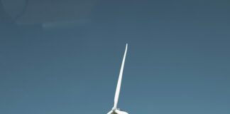 pexels photo 15553871