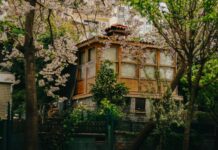 Safest Cities In Texas: Discover Where Peace Meets Perfect Living pexels photo 19884472