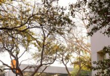 Area Code In Texas USA: Discover Secrets Behind Local Dialing Codes