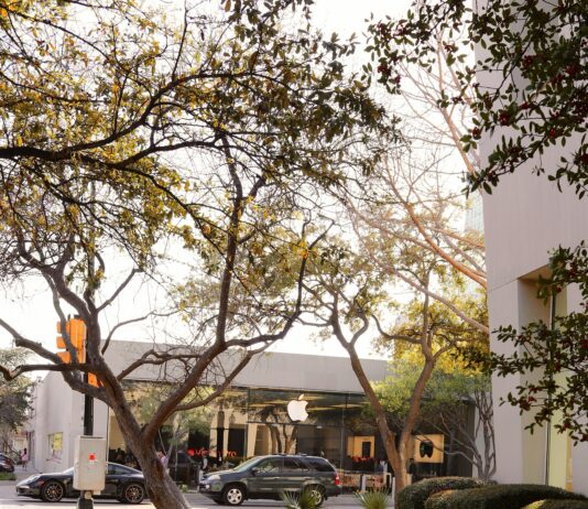 Area Code In Texas USA: Discover Secrets Behind Local Dialing Codes pexels photo 21953554