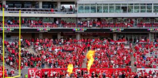 pexels photo 28192812