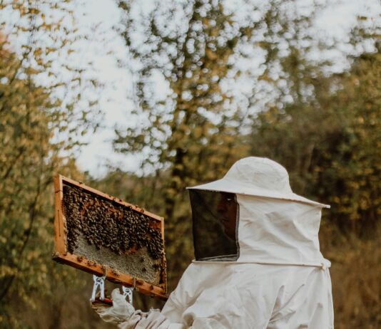 Oil Field Jobs In Texas: Discover Exciting Career Opportunities Today pexels photo 28803159