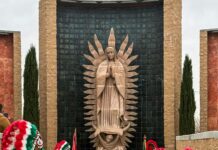 pexels photo 29757590