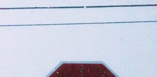 pexels photo 30356599 2