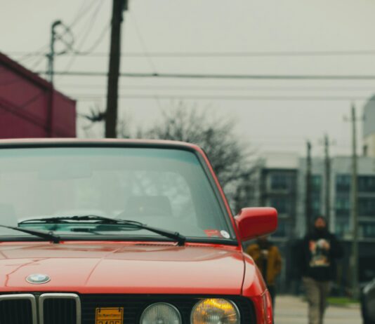 pexels photo 31419703