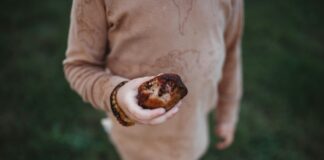 pexels photo 3225513