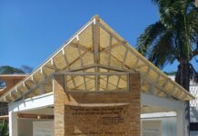 pexels photo 32551526 1