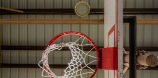 pexels photo 32650632