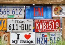 pexels photo 533669 4