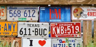 pexels photo 533669 5