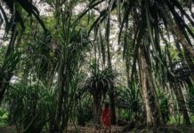 pexels photo 7683376