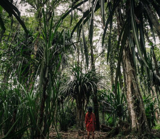 pexels photo 7683376