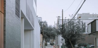 pexels photo 7877261