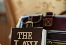 pexels photo 8731031