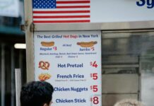 pexels photo 13931448