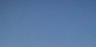 pexels photo 28739865