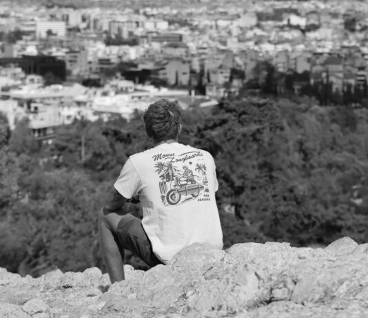 pexels photo 30021159