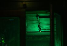Texas Club Baton Rouge: Discover The Ultimate Nightlife Experience