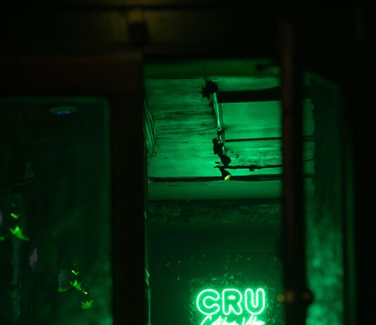 pexels photo 30969770