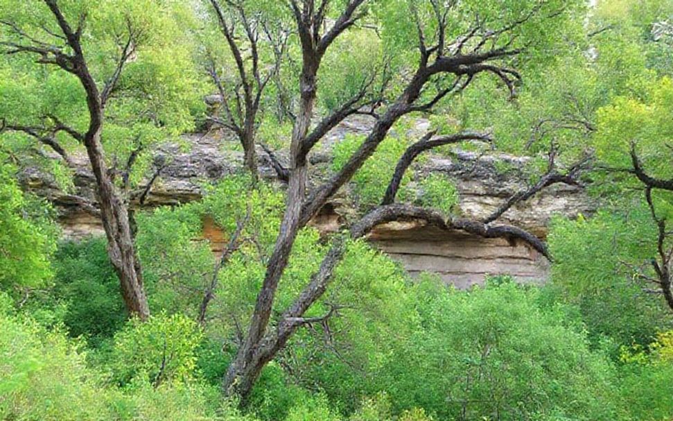 5 Hidden Gems Along the Austin to Fredericksburg Scenic Route*