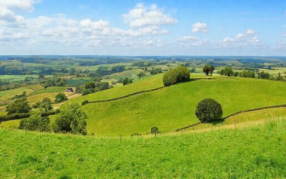 5 Ways to Explore the Hill Country Like a Local*