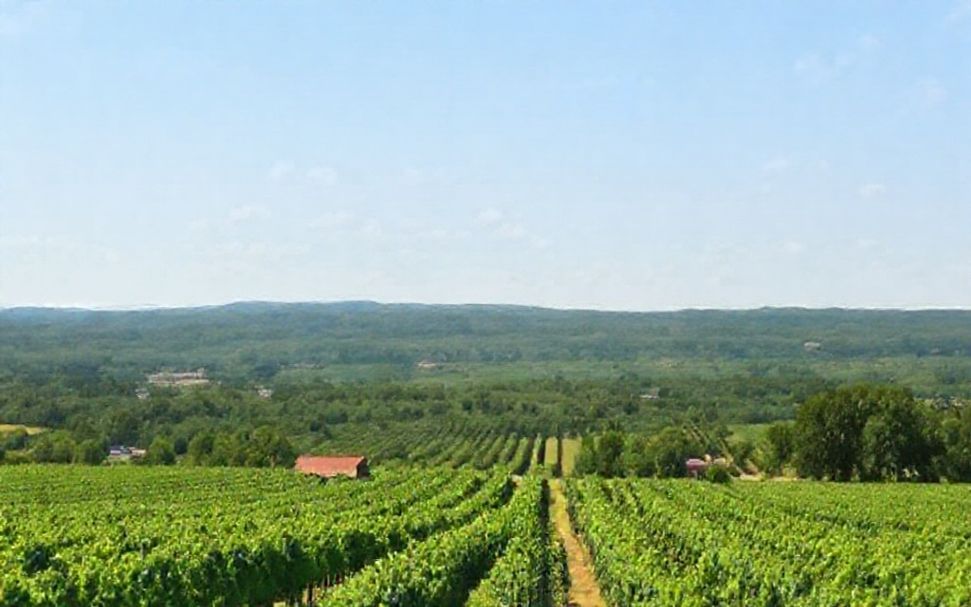 How to Craft the Perfect Wine Country Itinerary from Austin to Fredericksburg*